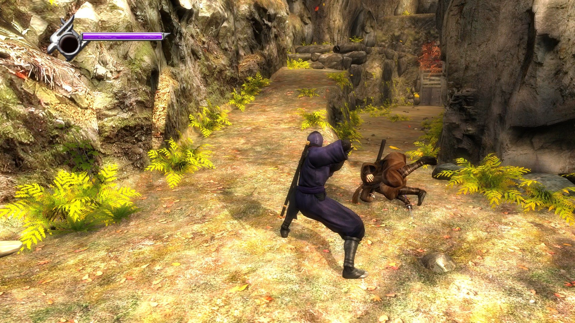 Скриншот из Ninja Gaiden Sigma