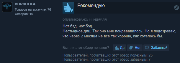 Отзыв пользователя со страницы дополнения в Steam