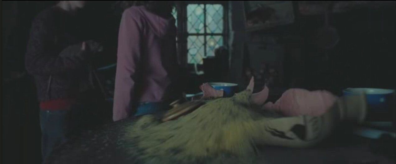 Киноляп &mdash; горшки разбиты по-разному. &laquo;Гарри Поттер и узник Азкабана&raquo;.