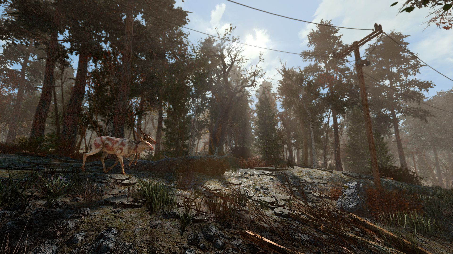 Fallout 4 лагает в лесу фото 14