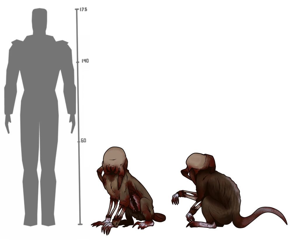 Концепт-арт зомби-обезьяны из Half-Life: Hostile Takeover Mod | Источник: moddb.com