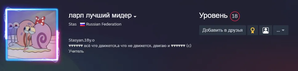 Источник: steamcommunity.com/profiles/76561198858721548