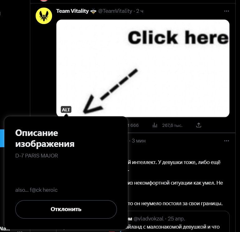 Источник: твиттер Team Vitality
