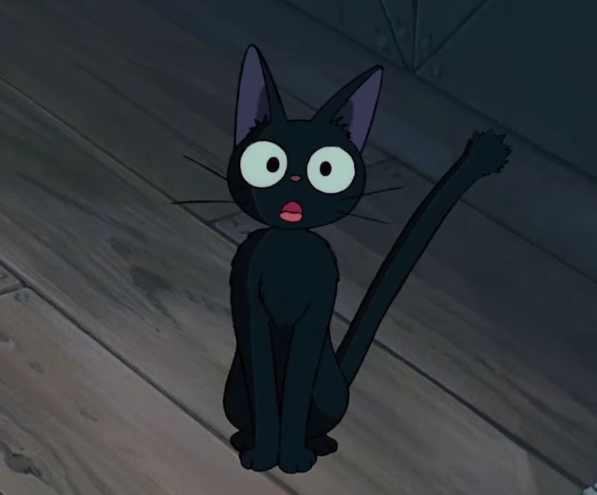 Чёрный кот аниме арт - 71 фото