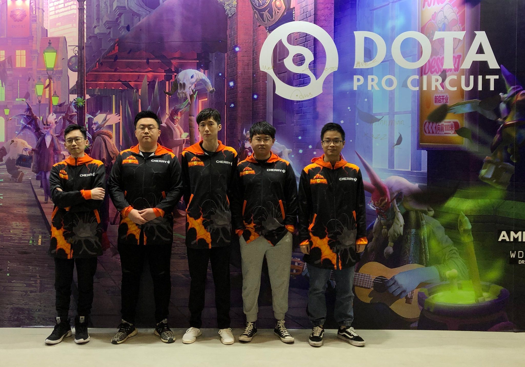 Am pro dota фото 41