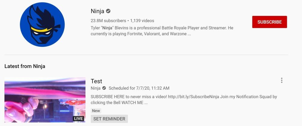 Скриншот с тестовой трансляцией на канале Ninja на YouTube.
Источник: Dexerto