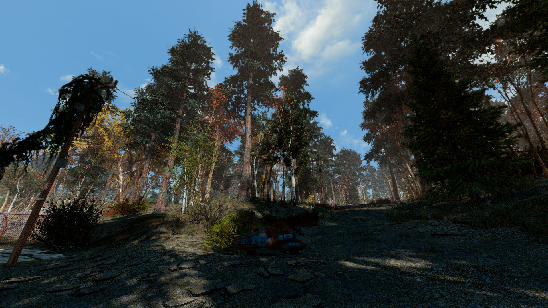Fallout 4 лагает в лесу фото 98