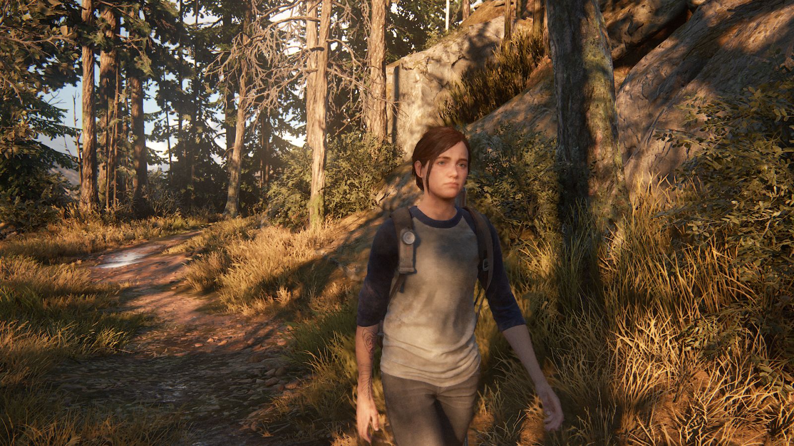 Картинка last of us 2