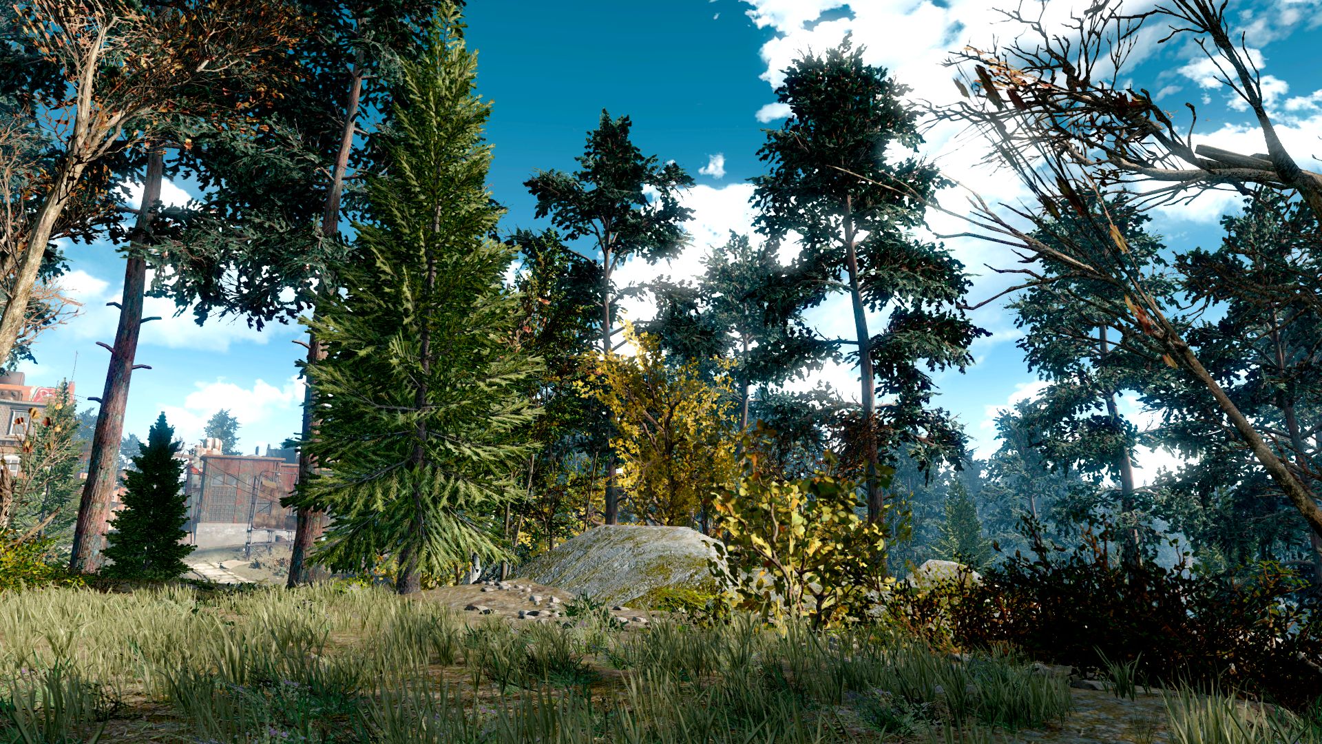 Fallout 4 деревья и трава фото 15
