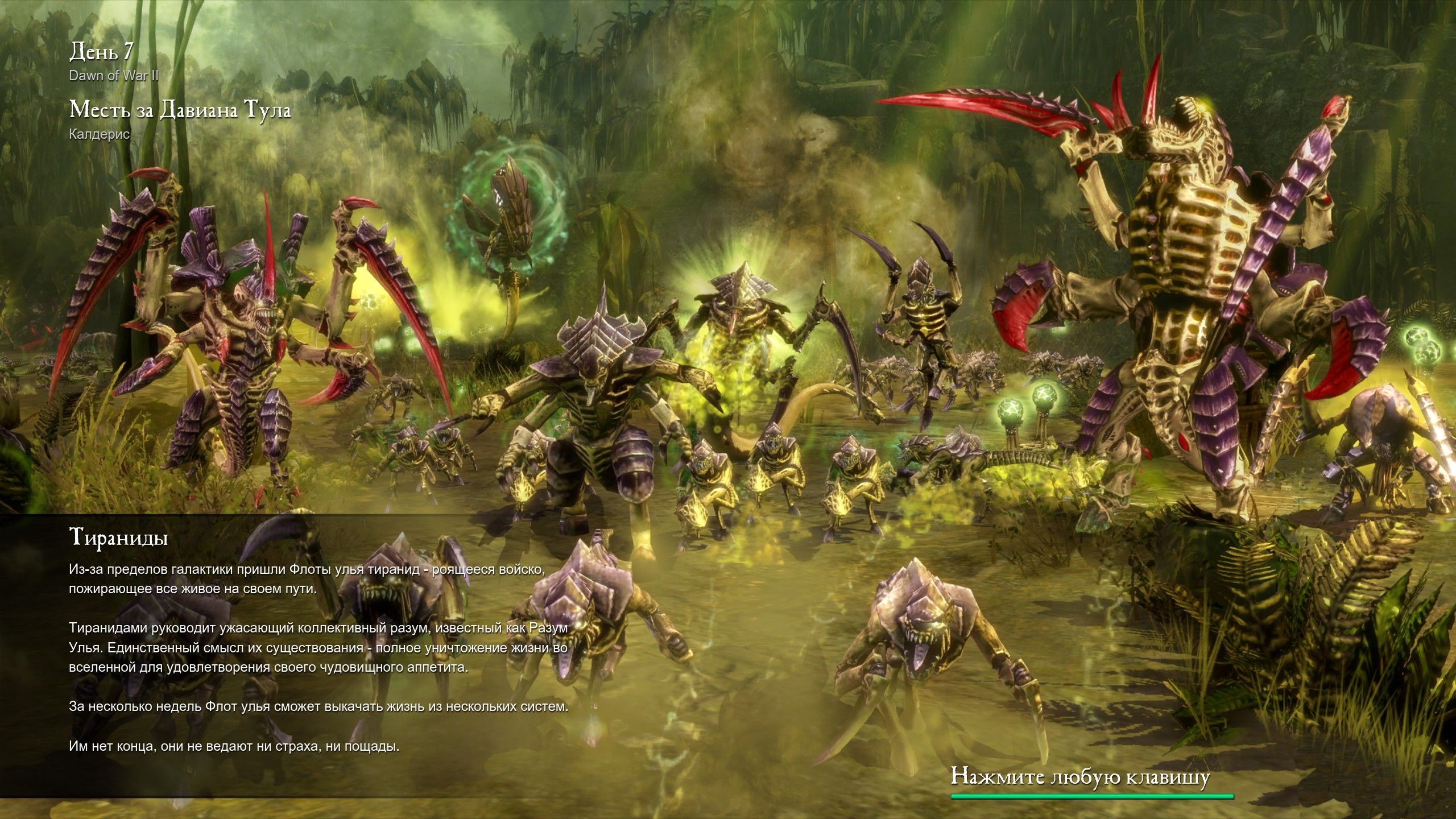 warhammer 40000 dawn of war 2 обзор