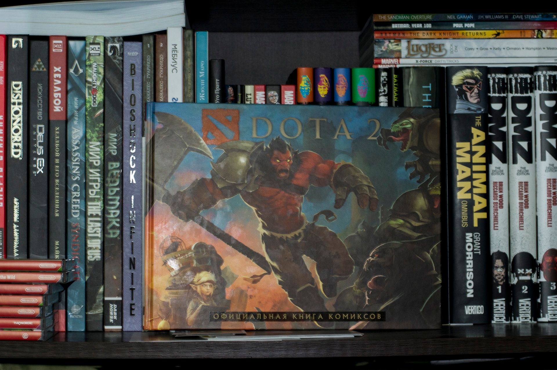 The book the dota фото 20