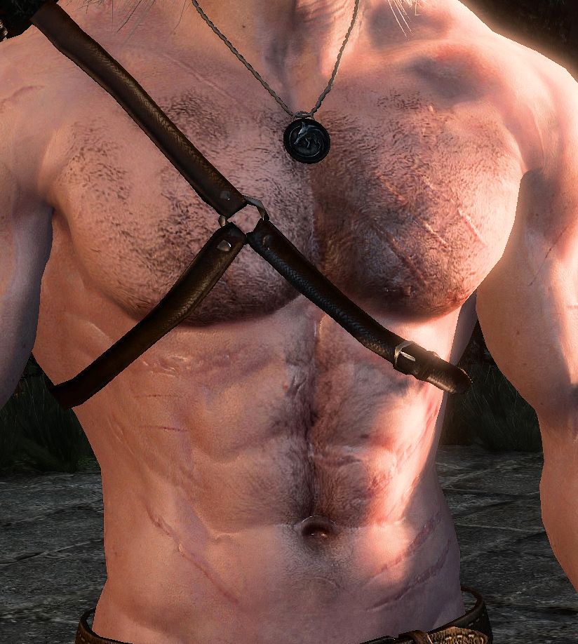 Witcher 3 Penis Mod