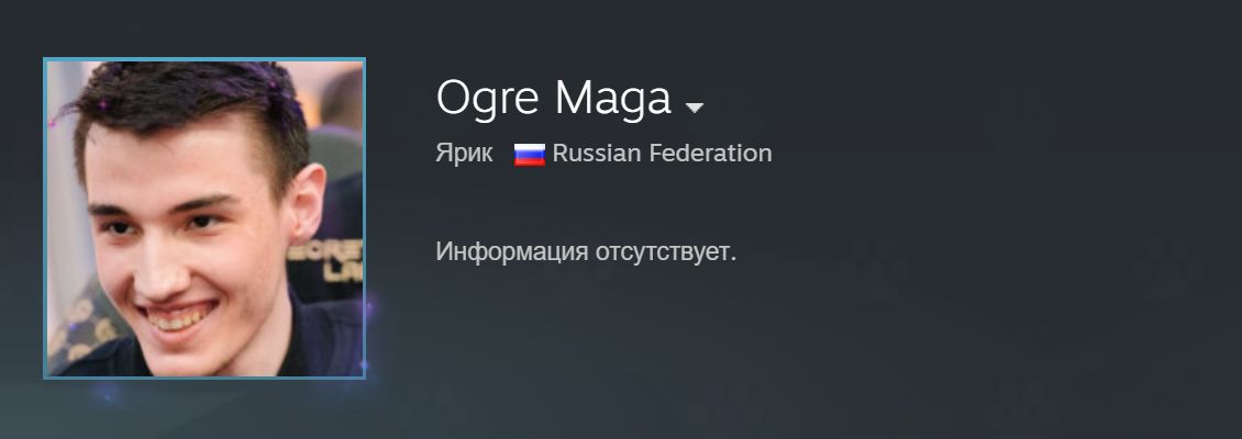 Профиль Miposhka в Steam
