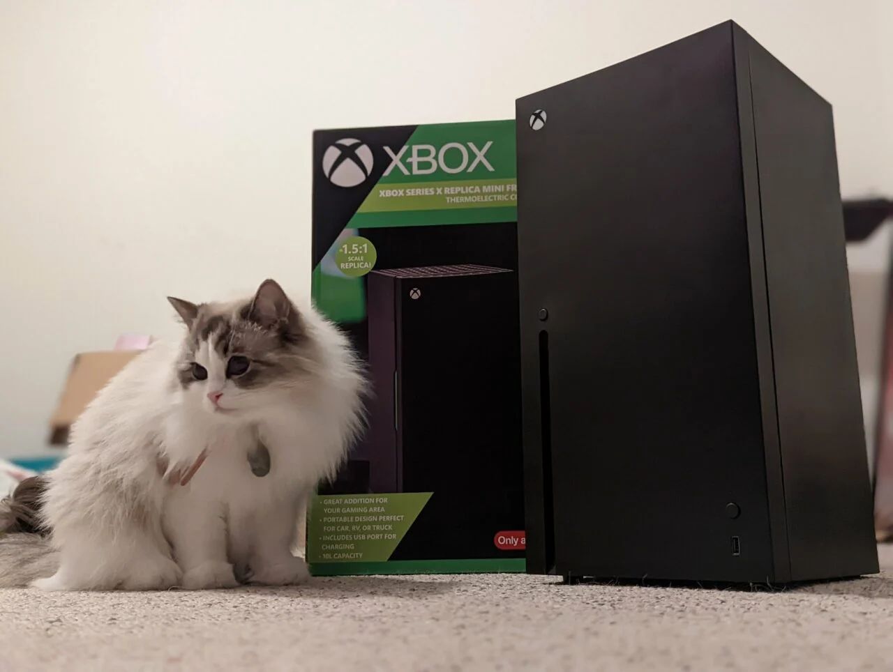 Холодильник в форме Xbox Series X. Источник: twitter.com