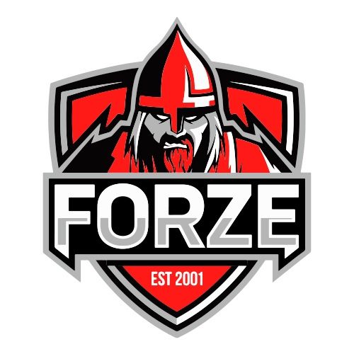 Прошлый логотип forZe | Источник: группа клуба во «ВКонтакте»