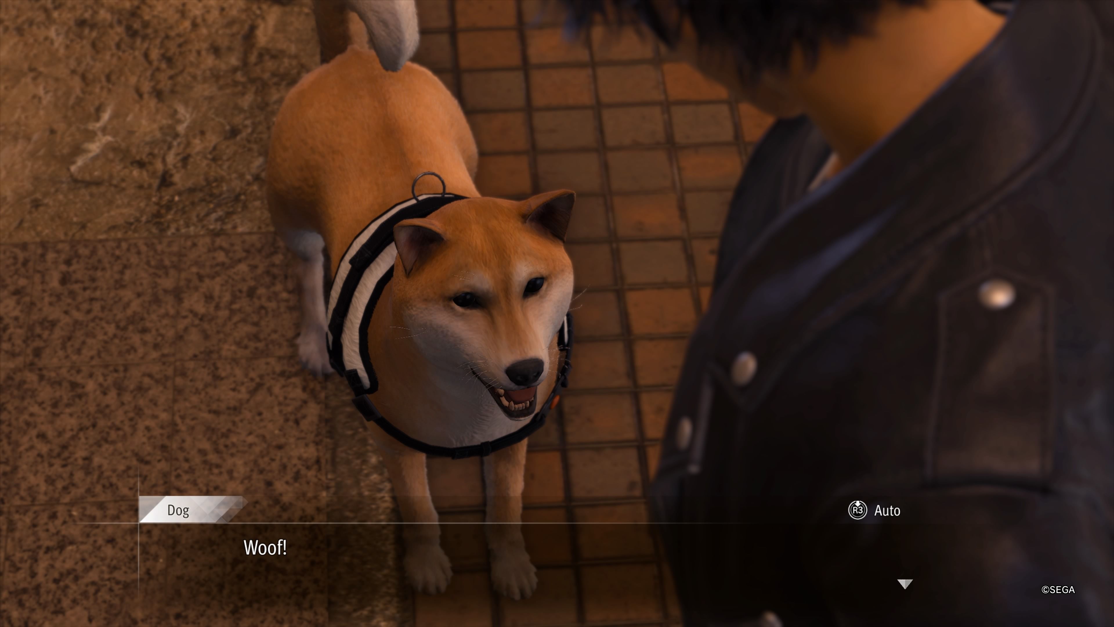 С псом-детективом можно гулять по городу. Скриншот из Lost Judgment