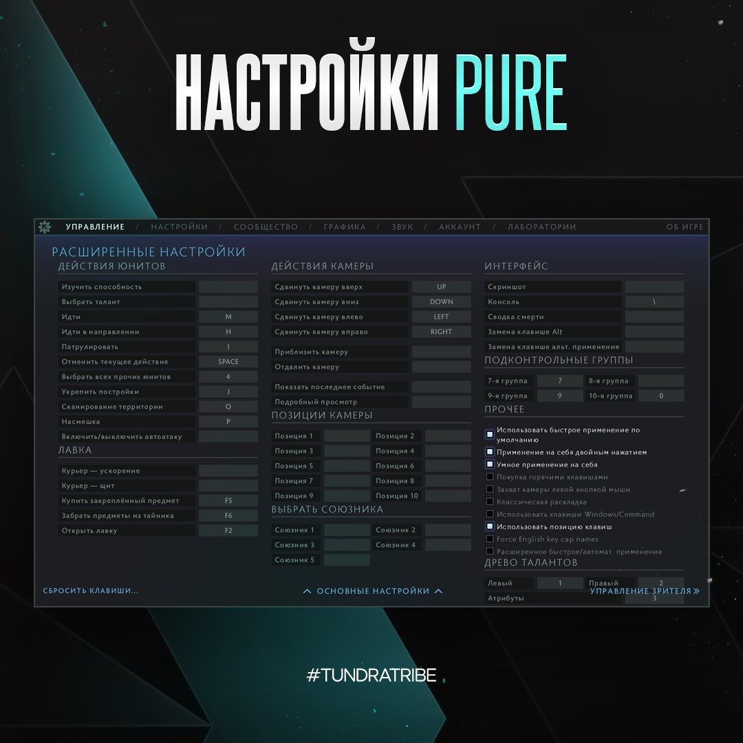 Pure~ показал свои настройки в Dota 2