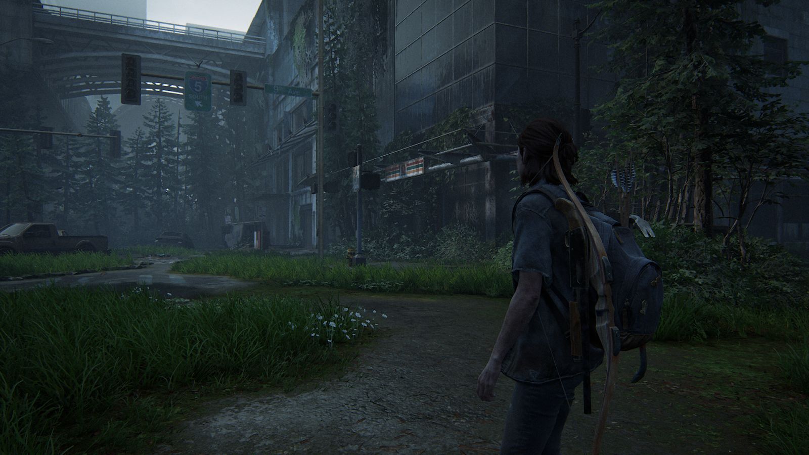 Ластов ас на пк. The last of us Part II Сиэтл.