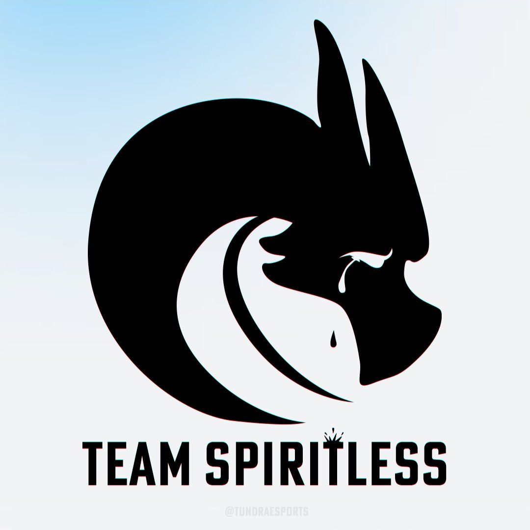 Переработанный логотип Team Spirit