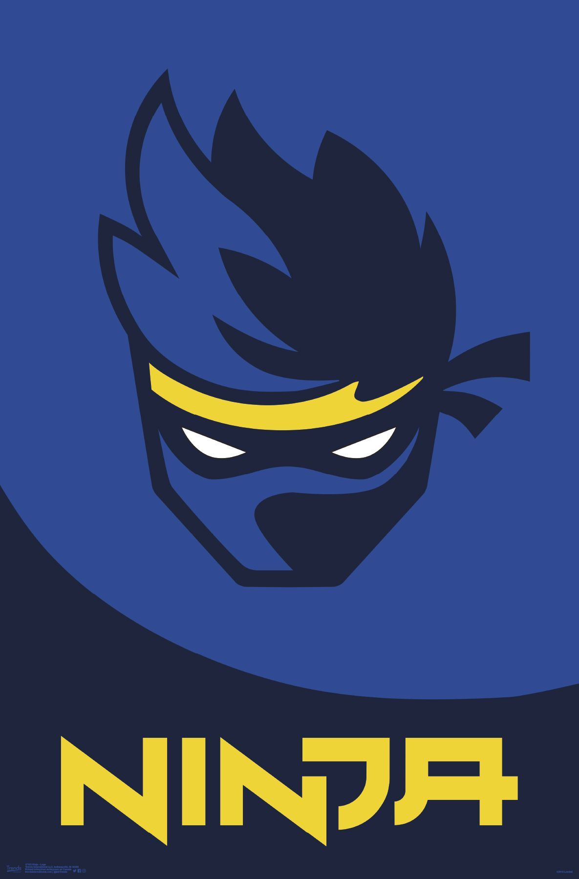 Старый логотип Ninja