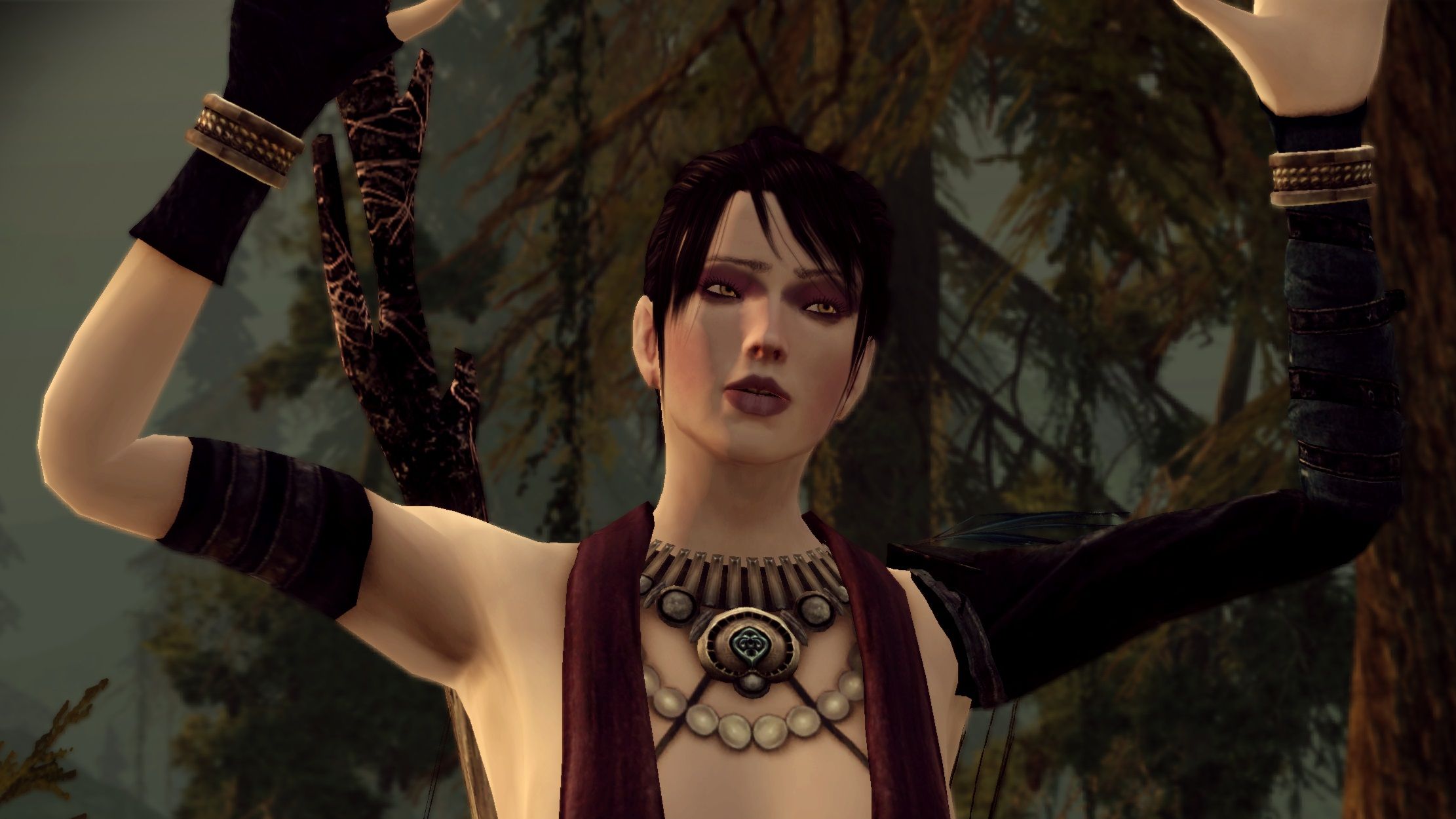 Скриншот из Dragon Age: Origins