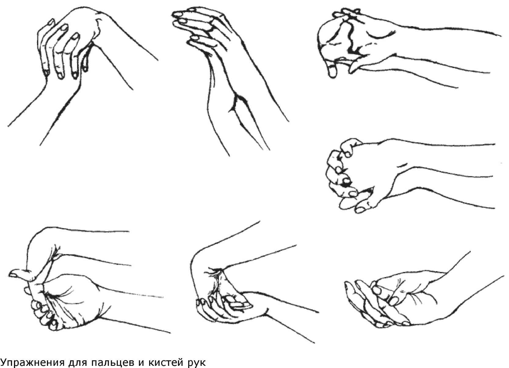 Пример гимнастики для кистей рук