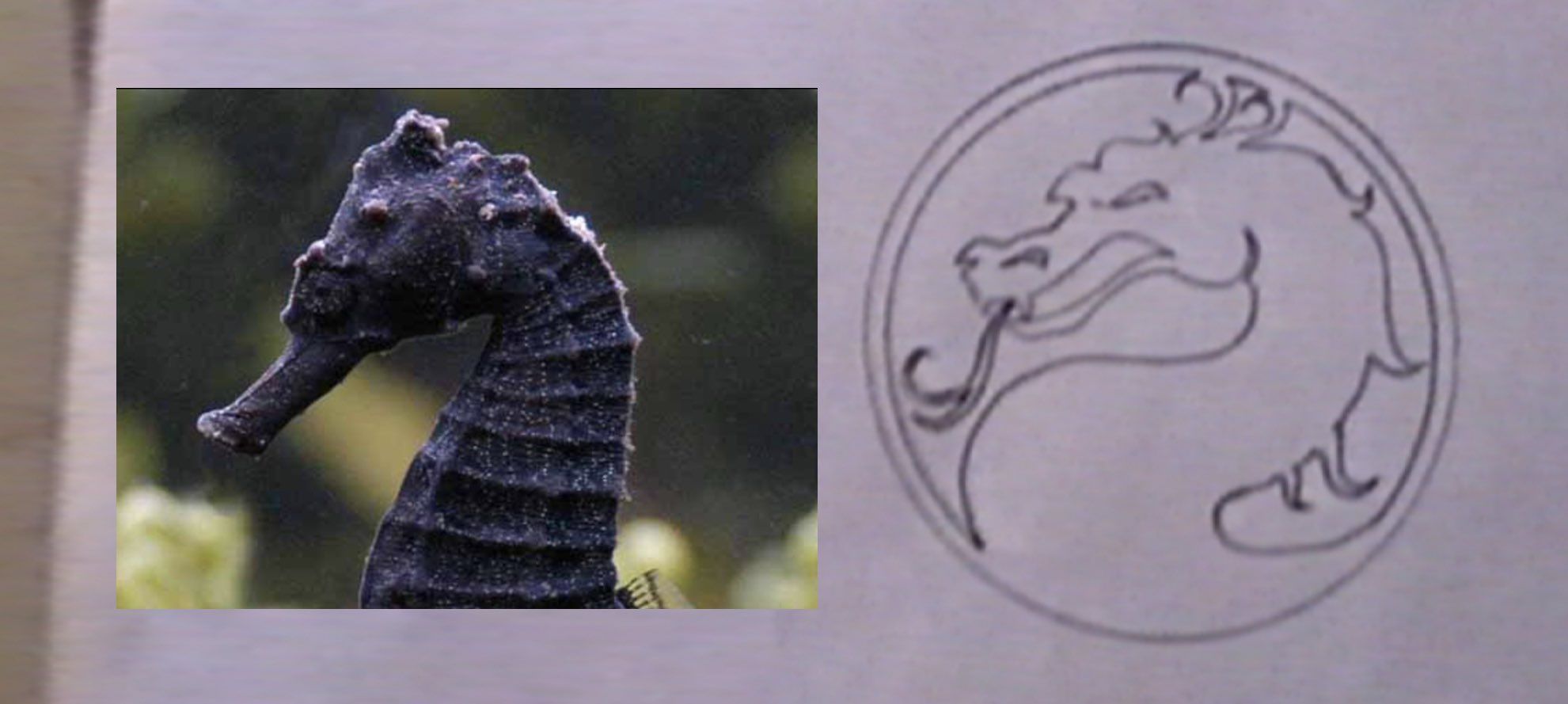 Сравнение логотипа с морским коньком. Источник: твиттер