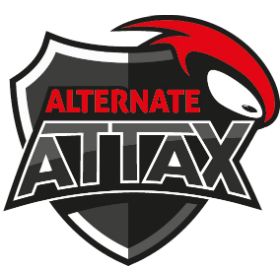 Team Alternate