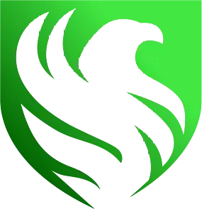 Team Falcons