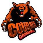 Courage-Gaming