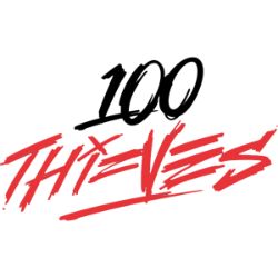 100 Thieves