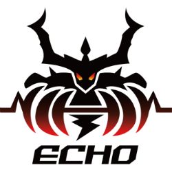 Echo Gaming