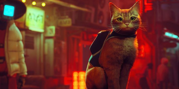 Анонсирован фильм по Stray о коте в мире киберпанка