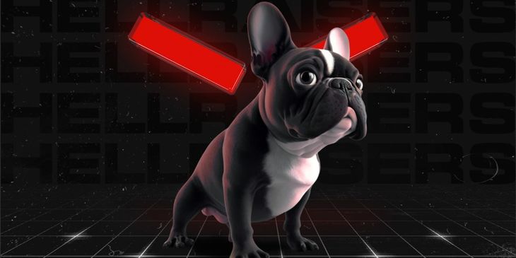 Nix возмутила собака Марии Гуниной на заставке в бандле HR — она назвала стримера псом в ответ