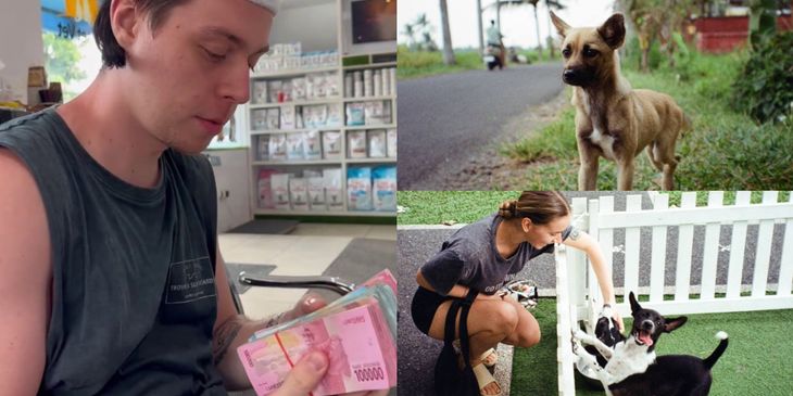 Российские стримеры и рэперы собрали ₽500 000 для организации, которая спасает животных на Бали
