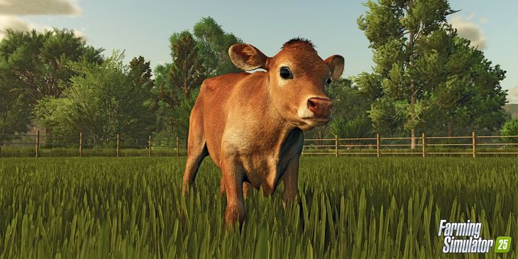 Новые культуры, буйволы и стихийные бедствия — состоялся релиз Farming Simulator 25