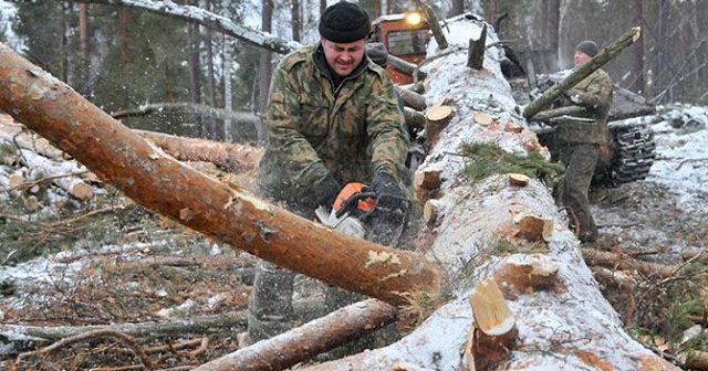 Мужская работа: Топ-10 профессий, запрещенных для женщин вРоссии