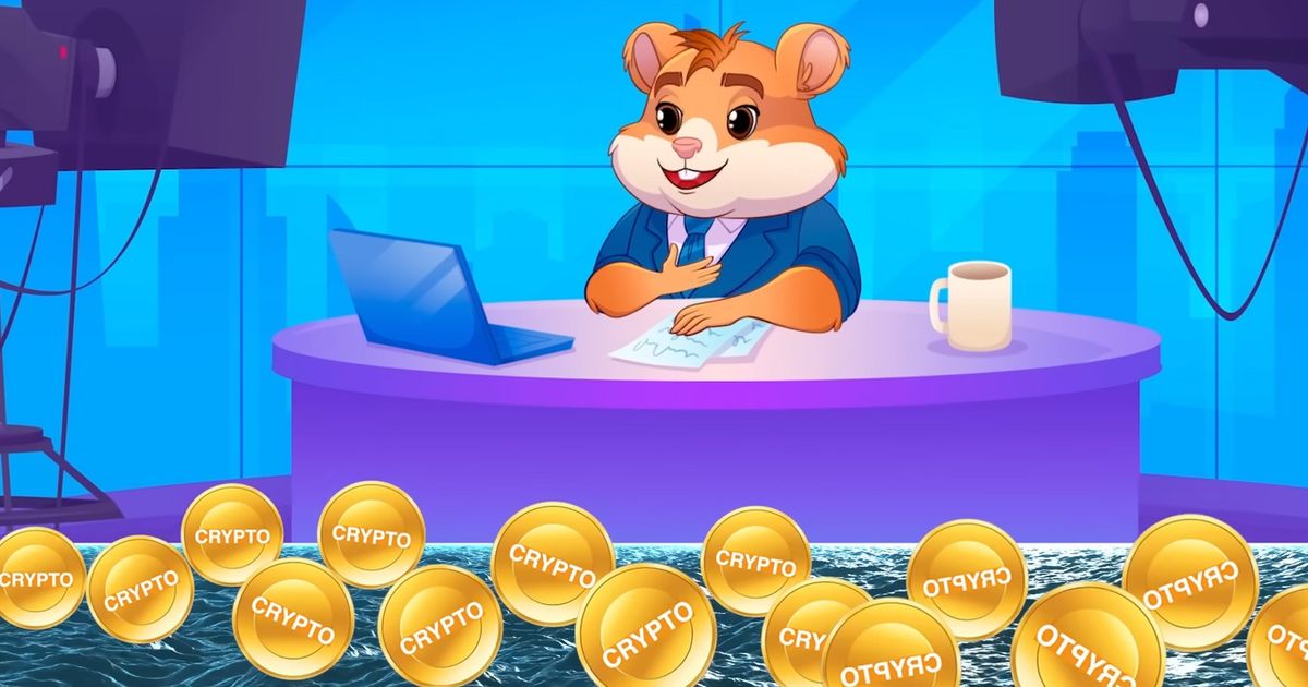 Hamster kombat шифр 13 июля