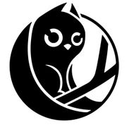 Студия Owlcat о дополнениях