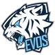 EVOS Esports