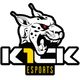 k1ck eSports