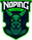 NoPing
