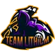 Team Lithium