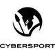 Cybersport.p