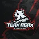 TEAM agaX