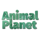 Animal Plane