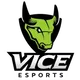 Vice Esports