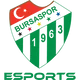 Bursaspor Es