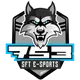 SFTe-sports